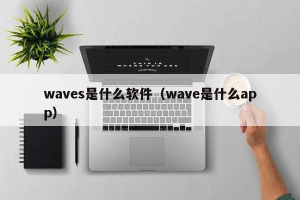 waves是什么软件（wave是什么app）-第1张图片-巴山号
